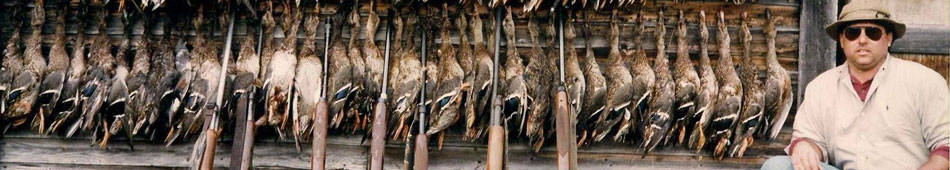 Greent Timber Duck Hunting